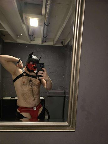 VABoL Jocktober Underwear Auction - Pup Grim