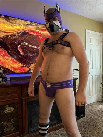 VABoL Jocktober Underwear Auction - Mr. Grey