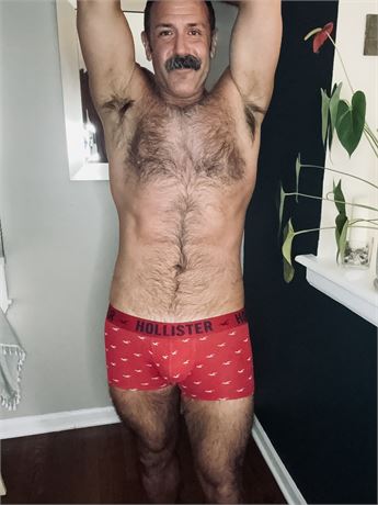 Hollister Trunks