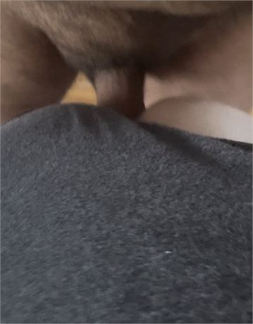 Fuck Boi home alone OMG! Daddy took care of it!